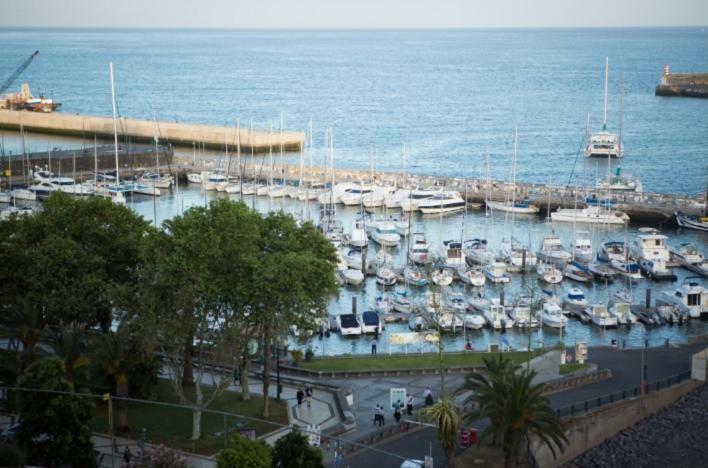 Apartment W Stunning View - Marina - Free Parking & Ac Funchal  Kültér fotó